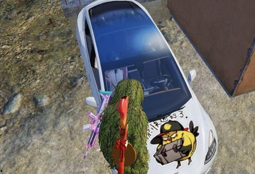 车皮最新爆料,行业变革与未来趋势前瞻