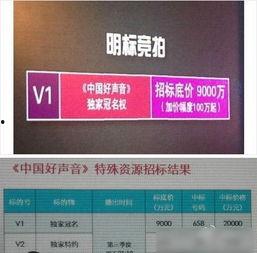 浙江卫视好声音最新爆料,实力选手集结，精彩对决即将上演！